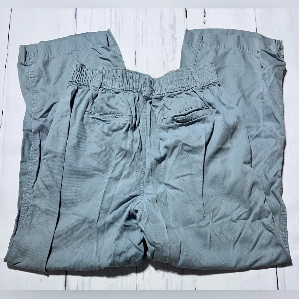 Madewell - Blue Trouser Pants - Picture 6 of 7